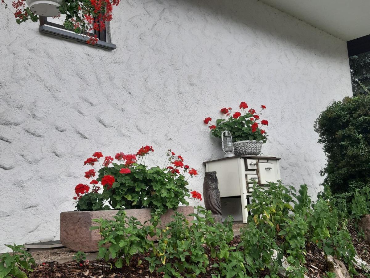 Ferienapartment Karle Nordrach Экстерьер фото